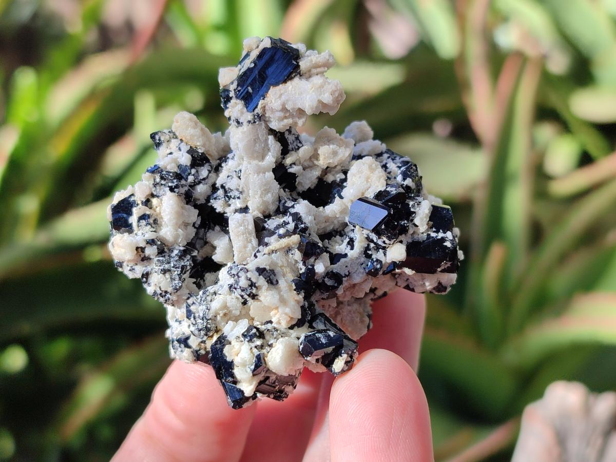 Natural Schorl Black Tourmaline with Feldspar and Hyalite Opal x 12 From Erongo, Namibia - Toprock Gemstones and Minerals 