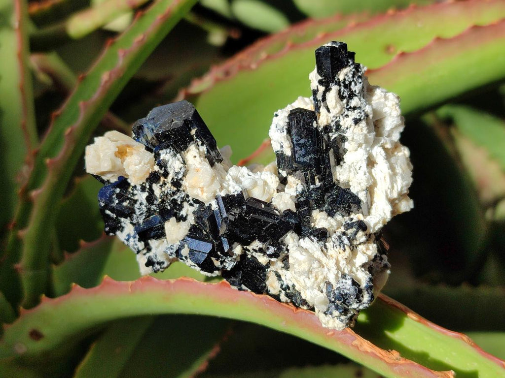 Natural Schorl Black Tourmaline with Feldspar and Hyalite Opal x 12 From Erongo, Namibia - Toprock Gemstones and Minerals 