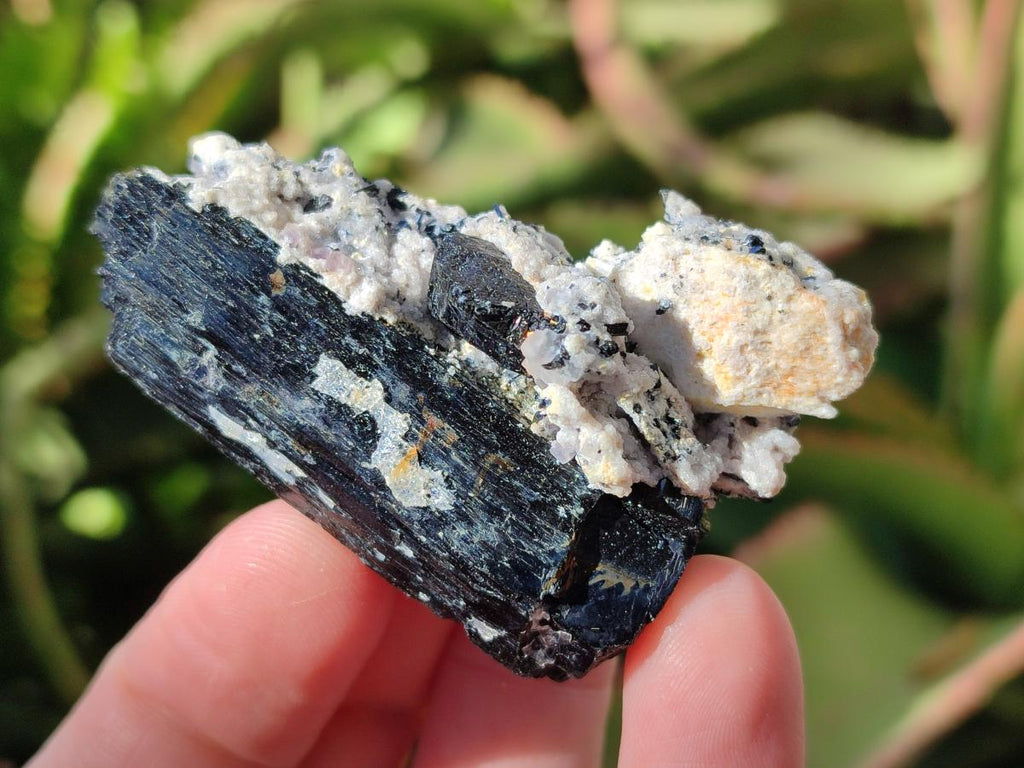 Natural Schorl Black Tourmaline with Feldspar and Hyalite Opal x 12 From Erongo, Namibia - Toprock Gemstones and Minerals 