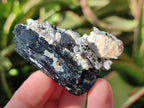 Natural Schorl Black Tourmaline with Feldspar and Hyalite Opal x 12 From Erongo, Namibia - Toprock Gemstones and Minerals 