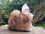 Natural Multi Mineral Specimens x 6 From Southern Africa - Toprock Gemstones and Minerals 