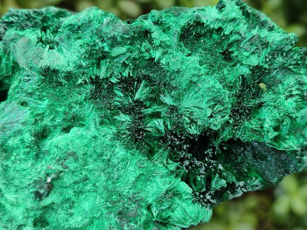 Natural Multi Mineral Specimens x 6 From Southern Africa - Toprock Gemstones and Minerals 