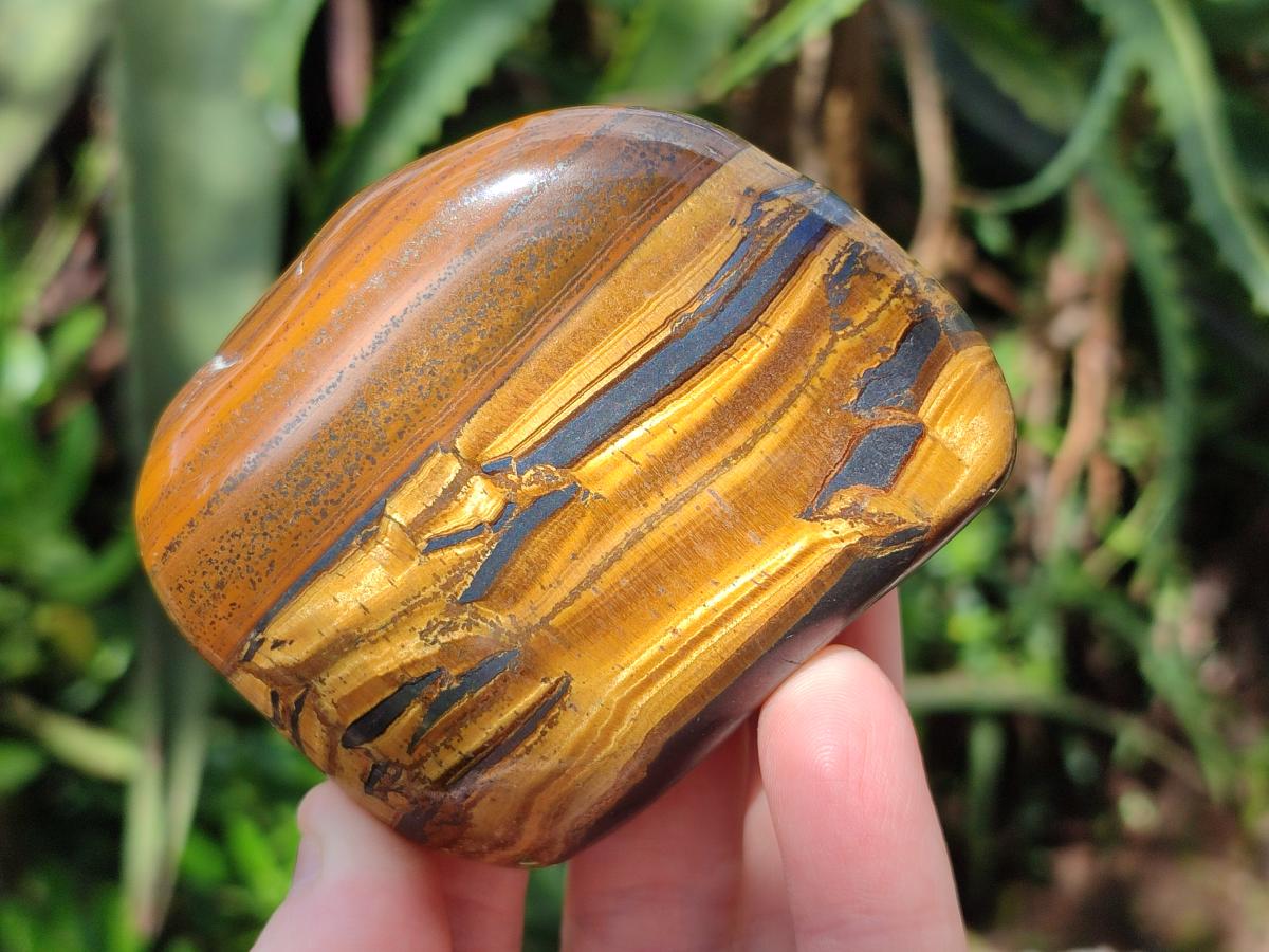 Polished Banded Tigers Eye with Banded Iron Stone Jasper Free Forms x 12 From South Africa - Toprock Gemstones and Minerals 