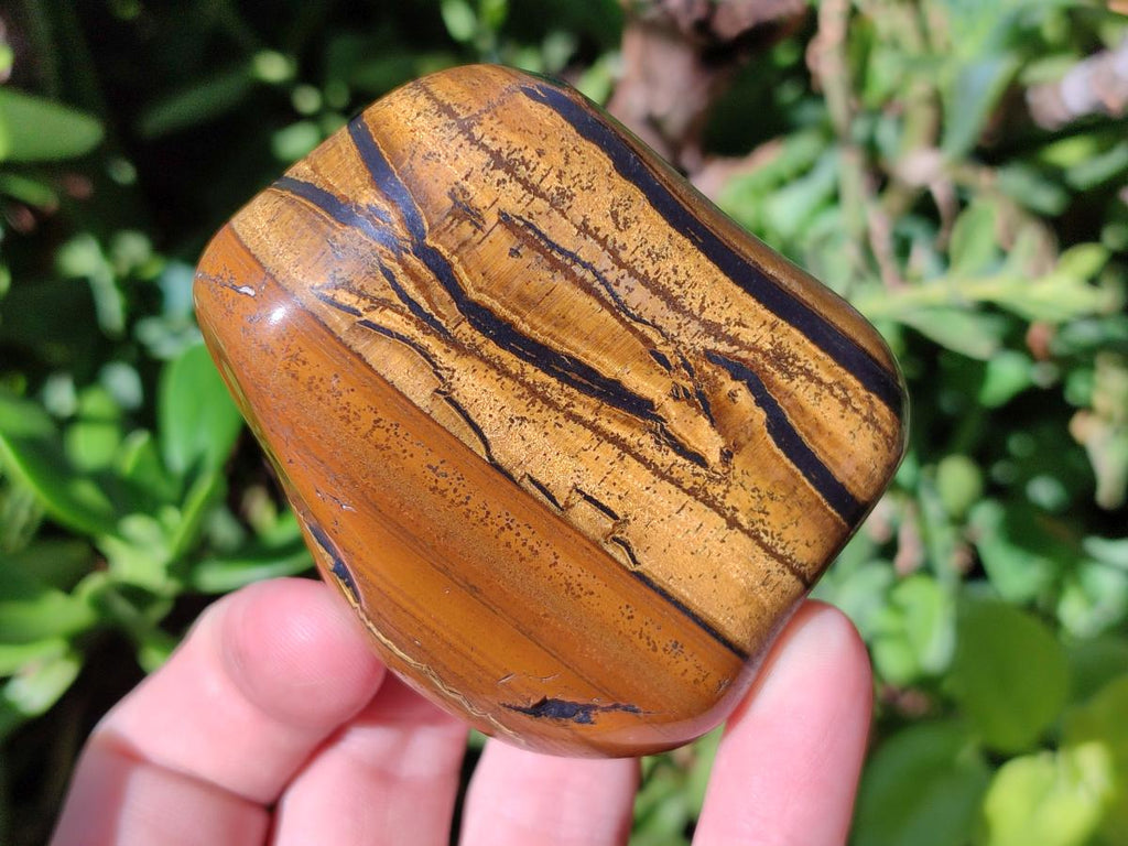 Polished Banded Tigers Eye with Banded Iron Stone Jasper Free Forms x 12 From South Africa - Toprock Gemstones and Minerals 