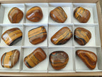 Polished Banded Tigers Eye with Banded Iron Stone Jasper Free Forms x 12 From South Africa - Toprock Gemstones and Minerals 