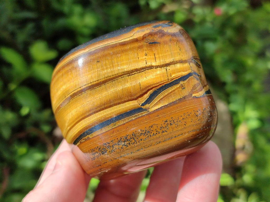 Polished Banded Tigers Eye with Banded Iron Stone Jasper Free Forms x 12 From South Africa - Toprock Gemstones and Minerals 