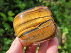 Polished Banded Tigers Eye with Banded Iron Stone Jasper Free Forms x 12 From South Africa - Toprock Gemstones and Minerals 