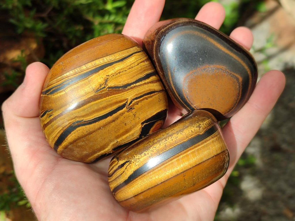 Polished Banded Tigers Eye with Banded Iron Stone Jasper Free Forms x 12 From South Africa - Toprock Gemstones and Minerals 