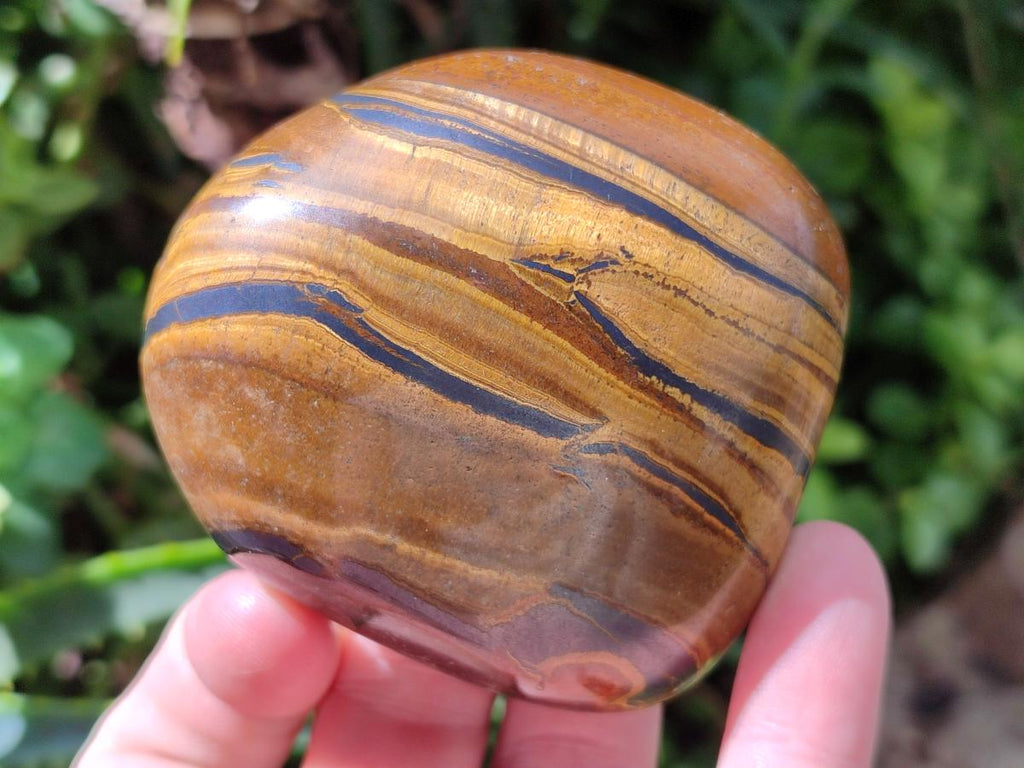 Polished Banded Tigers Eye with Banded Iron Stone Jasper Free Forms x 12 From South Africa - Toprock Gemstones and Minerals 