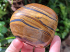 Polished Banded Tigers Eye with Banded Iron Stone Jasper Free Forms x 12 From South Africa - Toprock Gemstones and Minerals 