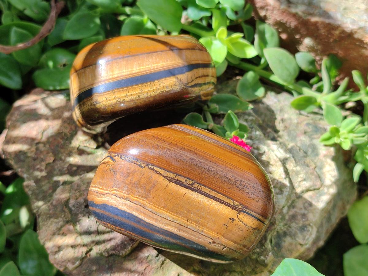 Polished Banded Tigers Eye with Banded Iron Stone Jasper Free Forms x 12 From South Africa - Toprock Gemstones and Minerals 
