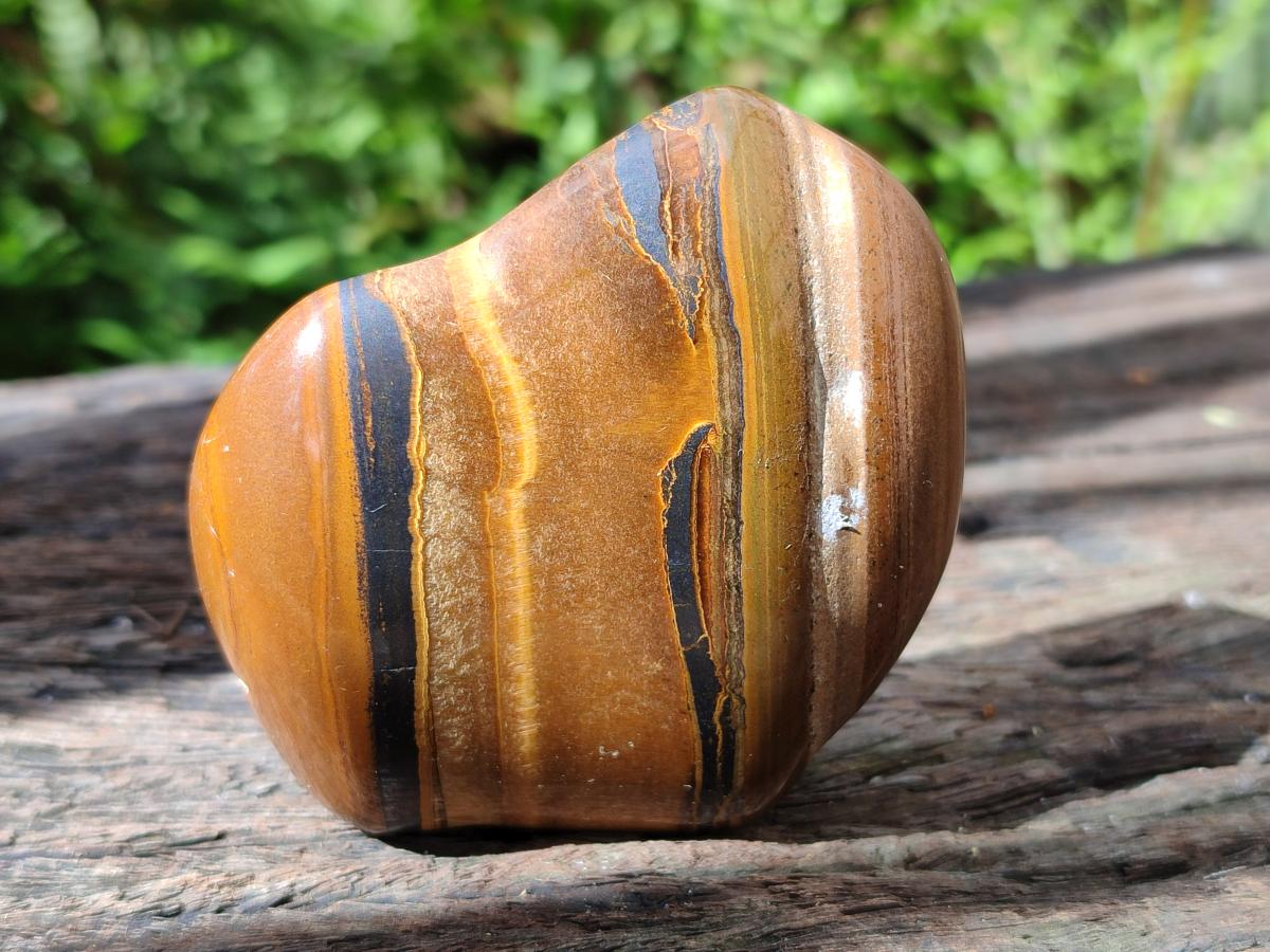 Polished Banded Tigers Eye with Banded Iron Stone Jasper Free Forms x 12 From South Africa - Toprock Gemstones and Minerals 
