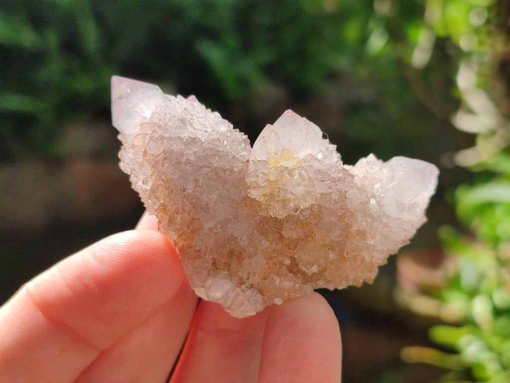 Natural Lilac Amethyst Spirit Quartz Clusters x 35 From Boekenhouthoek, South Africa - Toprock Gemstones and Minerals 