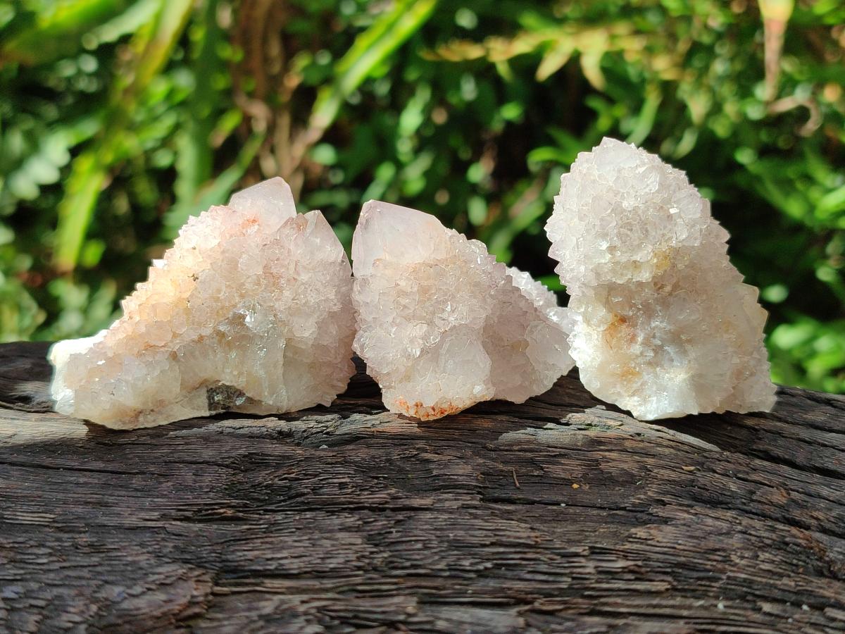 Natural Lilac Amethyst Spirit Quartz Clusters x 35 From Boekenhouthoek, South Africa - Toprock Gemstones and Minerals 