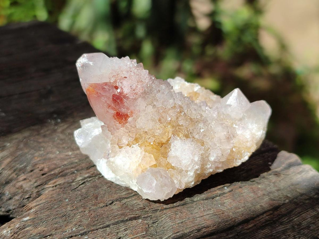 Natural Lilac Amethyst Spirit Quartz Clusters x 35 From Boekenhouthoek, South Africa - Toprock Gemstones and Minerals 