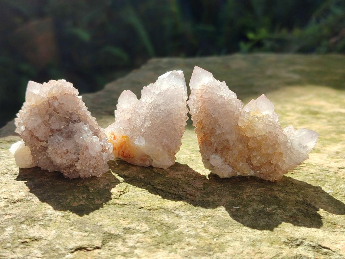 Natural Lilac Amethyst Spirit Quartz Clusters x 35 From Boekenhouthoek, South Africa - Toprock Gemstones and Minerals 