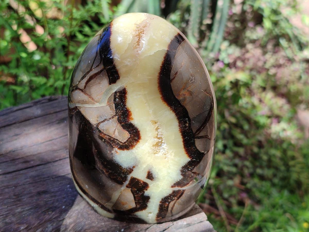 Polished Septerye Standing Free Forms x 3 From Mahajanga, Madagascar - Toprock Gemstones and Minerals 