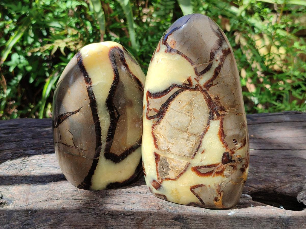 Polished Septerye Standing Free Forms x 3 From Mahajanga, Madagascar - Toprock Gemstones and Minerals 