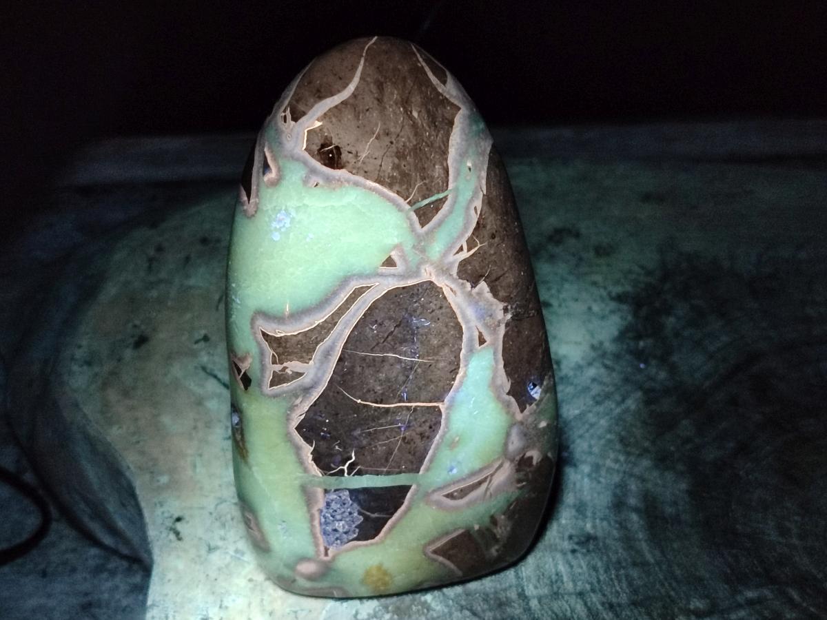 Polished Septerye Standing Free Forms x 3 From Mahajanga, Madagascar - Toprock Gemstones and Minerals 