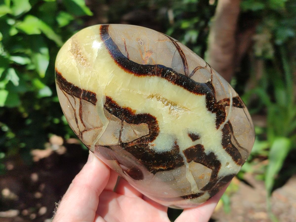 Polished Septerye Standing Free Forms x 3 From Mahajanga, Madagascar - Toprock Gemstones and Minerals 