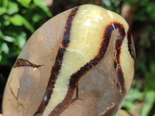 Polished Septerye Standing Free Forms x 3 From Mahajanga, Madagascar - Toprock Gemstones and Minerals 