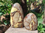Polished Septerye Standing Free Forms x 3 From Mahajanga, Madagascar - Toprock Gemstones and Minerals 