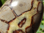 Polished Septerye Standing Free Forms x 3 From Mahajanga, Madagascar - Toprock Gemstones and Minerals 
