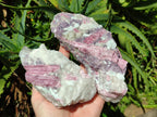Natural Pink Rubellite Tourmaline Specimens x 3 From Karibib, Namibia - Toprock Gemstones and Minerals 