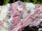 Natural Pink Rubellite Tourmaline Specimens x 3 From Karibib, Namibia - Toprock Gemstones and Minerals 
