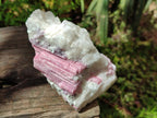 Natural Pink Rubellite Tourmaline Specimens x 3 From Karibib, Namibia - Toprock Gemstones and Minerals 