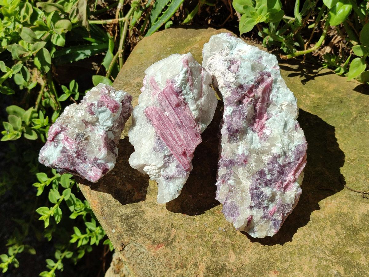 Natural Pink Rubellite Tourmaline Specimens x 3 From Karibib, Namibia - Toprock Gemstones and Minerals 
