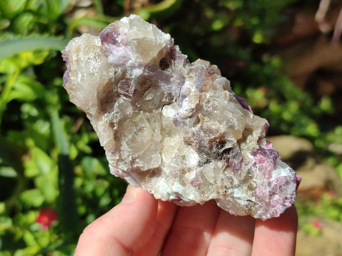 Natural Pink Rubellite Tourmaline Specimens x 3 From Karibib, Namibia - Toprock Gemstones and Minerals 
