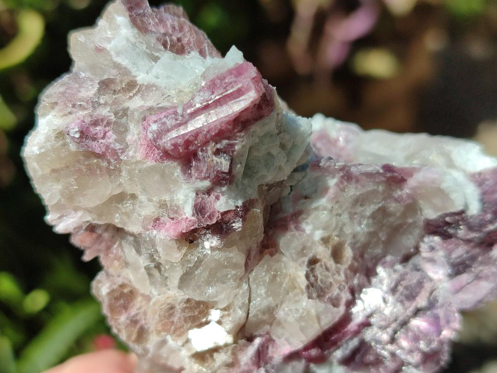 Natural Pink Rubellite Tourmaline Specimens x 3 From Karibib, Namibia - Toprock Gemstones and Minerals 