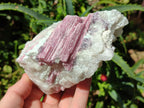 Natural Pink Rubellite Tourmaline Specimens x 3 From Karibib, Namibia - Toprock Gemstones and Minerals 