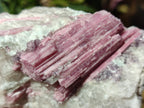 Natural Pink Rubellite Tourmaline Specimens x 3 From Karibib, Namibia - Toprock Gemstones and Minerals 