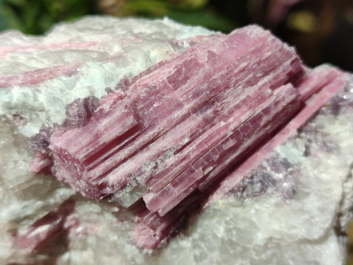 Natural Pink Rubellite Tourmaline Specimens x 3 From Karibib, Namibia - Toprock Gemstones and Minerals 