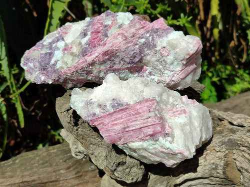 Natural Pink Rubellite Tourmaline Specimens x 3 From Karibib, Namibia - Toprock Gemstones and Minerals 