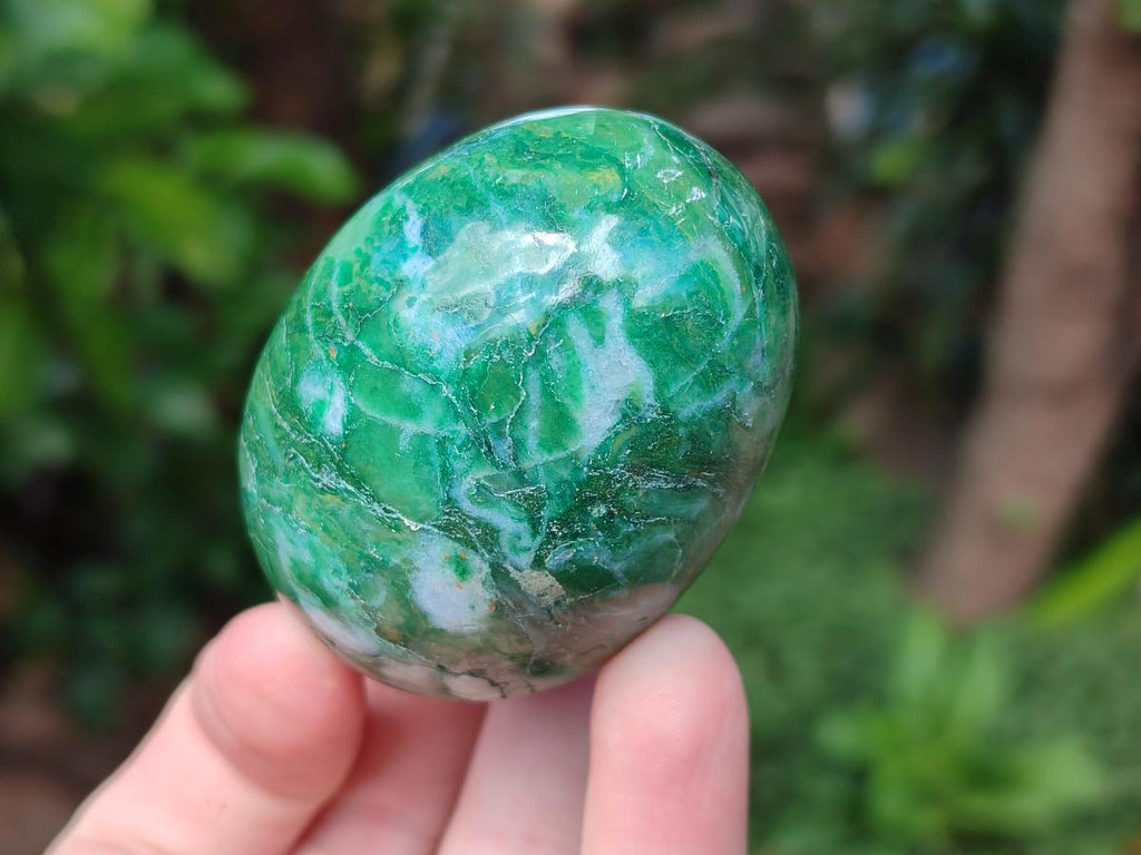 Polished Mixed Selected Gemstone Eggs x 12 From Southern Africa - Toprock Gemstones and Minerals 
