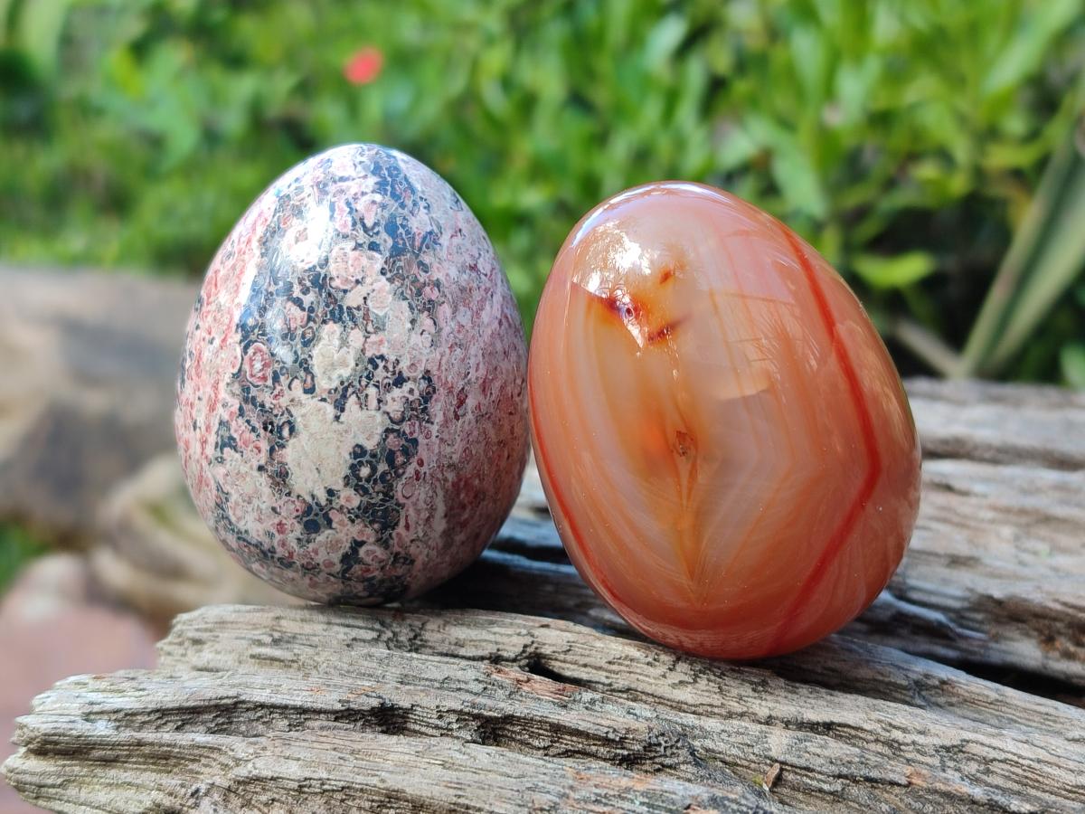 Polished Mixed Selected Gemstone Eggs x 12 From Southern Africa - Toprock Gemstones and Minerals 