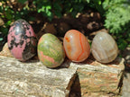 Polished Mixed Selected Gemstone Eggs x 12 From Southern Africa - Toprock Gemstones and Minerals 