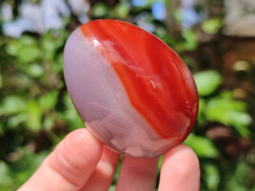 Polished Mixed Selected Gemstone Eggs x 12 From Southern Africa - Toprock Gemstones and Minerals 