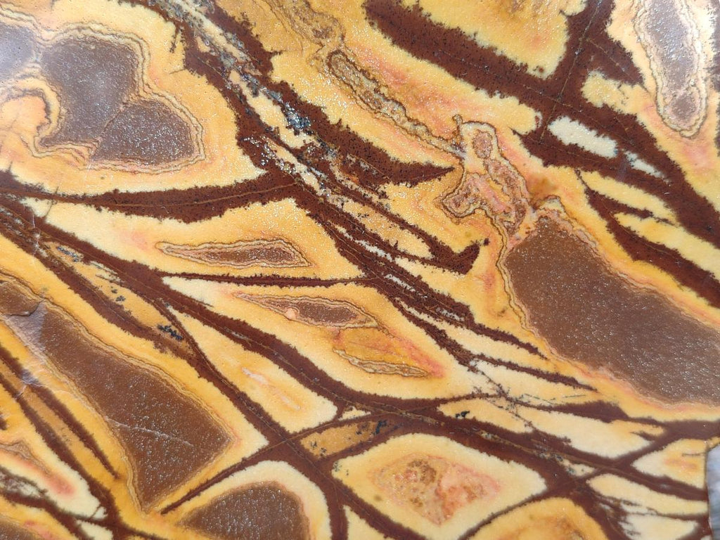 Polished On One Side Nguni Jasper Large Slice x 1 From Northern Cape, South Africa - Toprock Gemstones and Minerals 