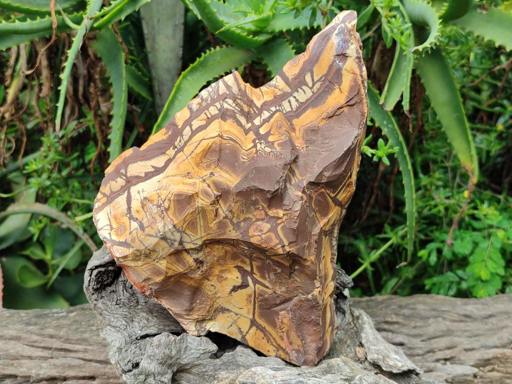 Polished On One Side Nguni Jasper Large Slice x 1 From Northern Cape, South Africa - Toprock Gemstones and Minerals 
