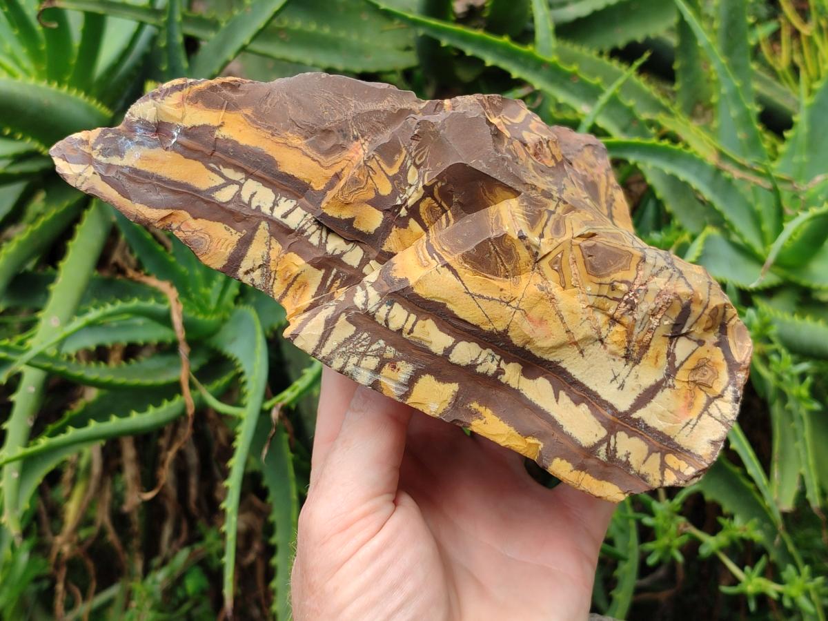Polished On One Side Nguni Jasper Large Slice x 1 From Northern Cape, South Africa - Toprock Gemstones and Minerals 