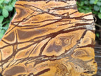 Polished On One Side Nguni Jasper Large Slice x 1 From Northern Cape, South Africa - Toprock Gemstones and Minerals 