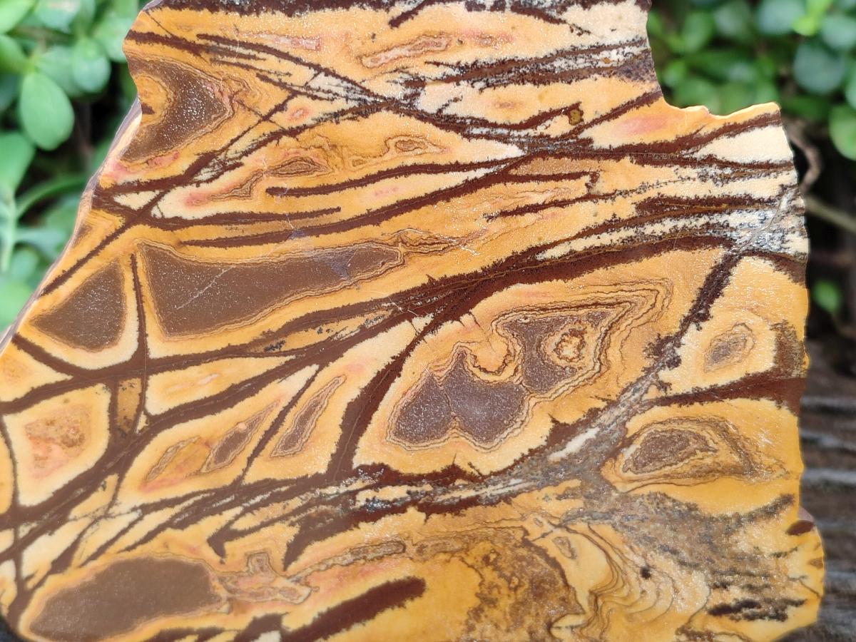 Polished On One Side Nguni Jasper Large Slice x 1 From Northern Cape, South Africa - Toprock Gemstones and Minerals 