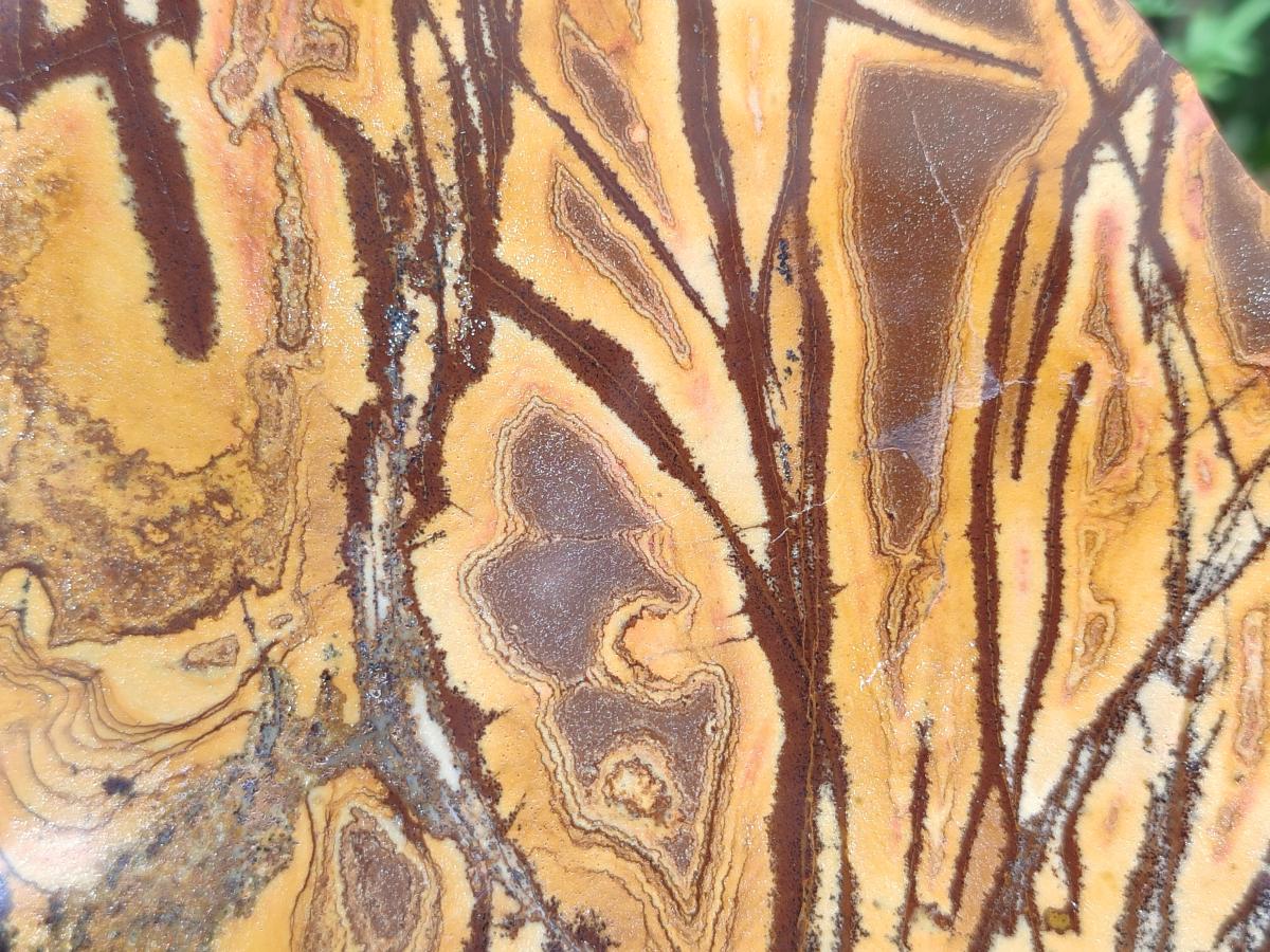 Polished On One Side Nguni Jasper Large Slice x 1 From Northern Cape, South Africa - Toprock Gemstones and Minerals 