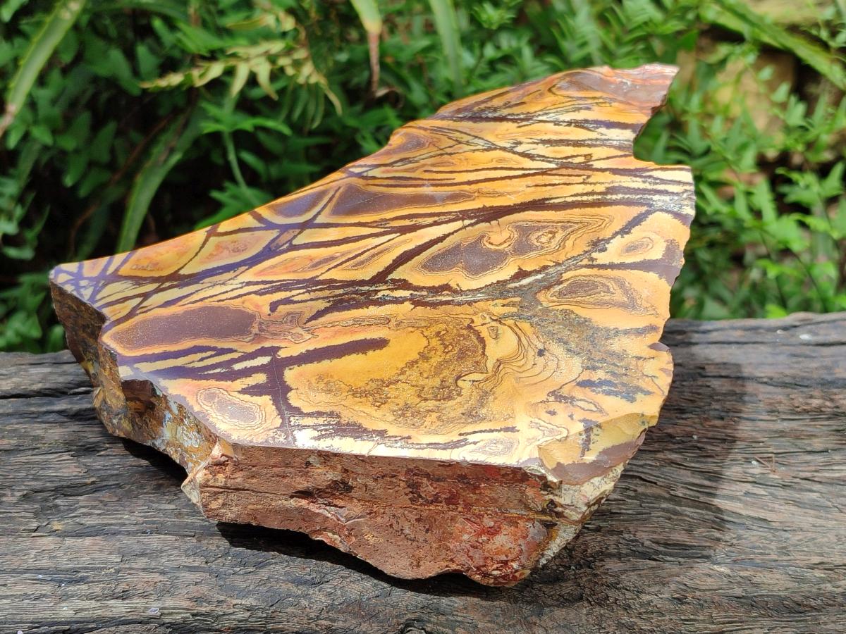 Polished On One Side Nguni Jasper Large Slice x 1 From Northern Cape, South Africa - Toprock Gemstones and Minerals 