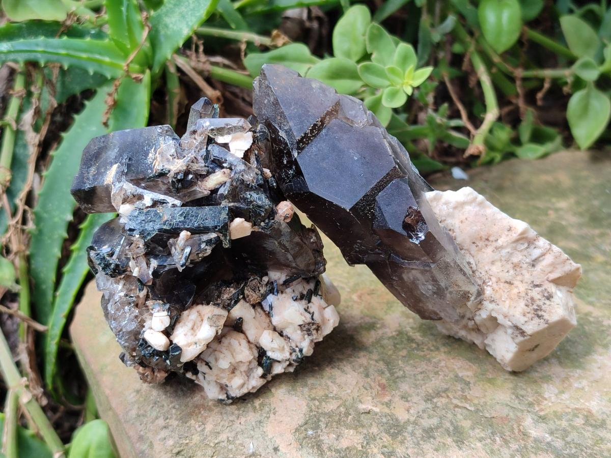 Natural Smokey Quartz Crystals with Associated Minerals x 6 From Mulanje, Malawi - Toprock Gemstones and Minerals 