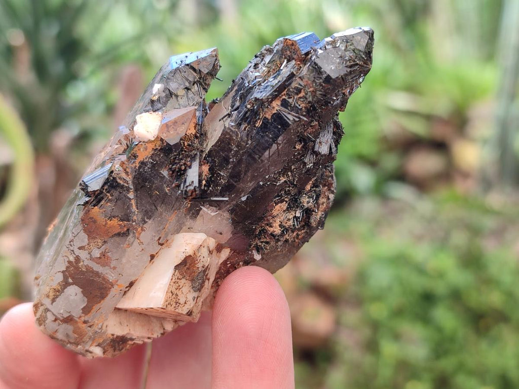 Natural Smokey Quartz Crystals with Associated Minerals x 6 From Mulanje, Malawi - Toprock Gemstones and Minerals 